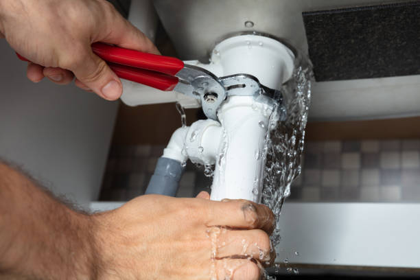 Best Local water damage restoration  in West Vero Corridor, FL