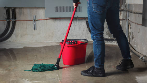 Best 24/7 water damage repair  in West Vero Corridor, FL